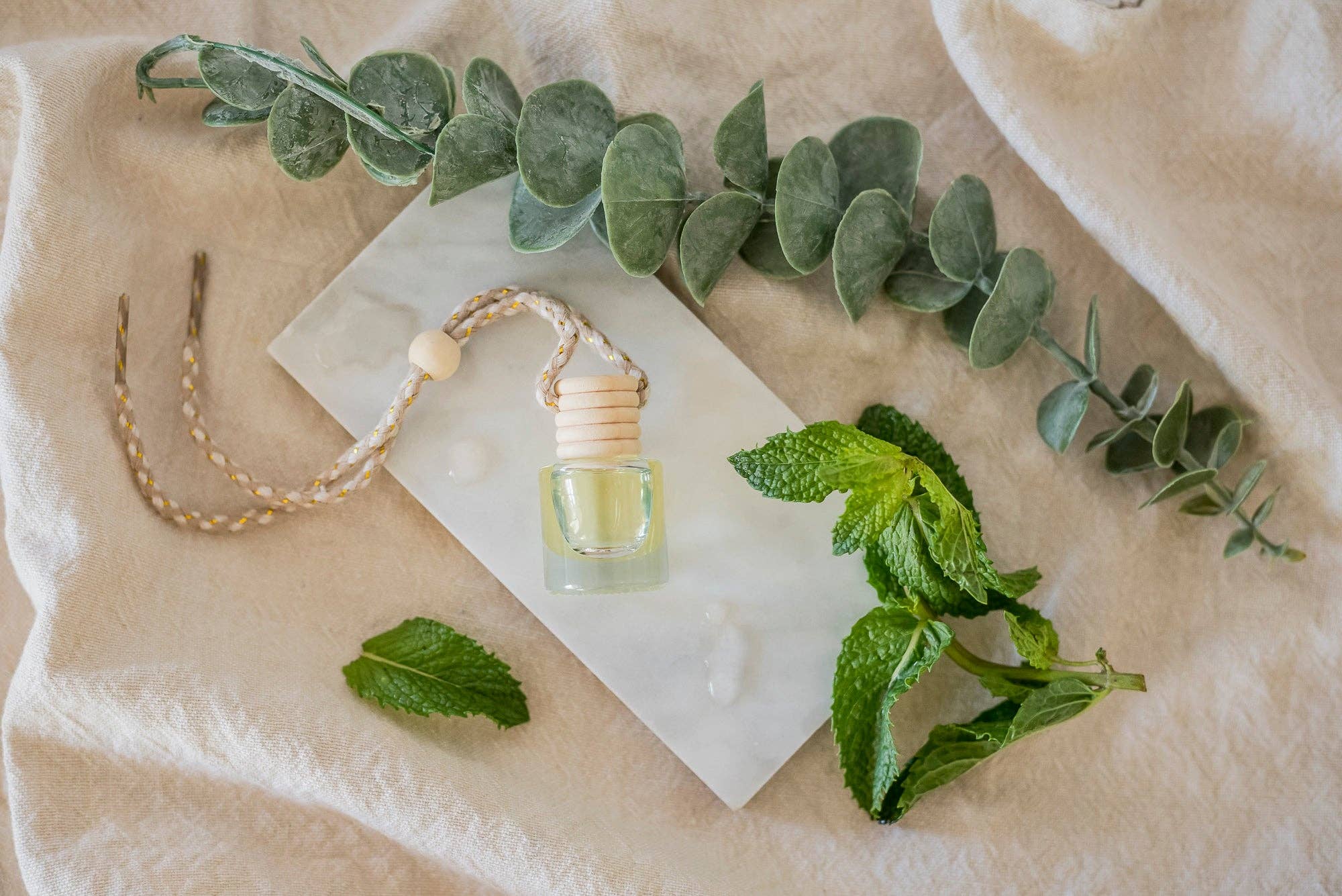Eucalyptus Mint: Car Diffuser
