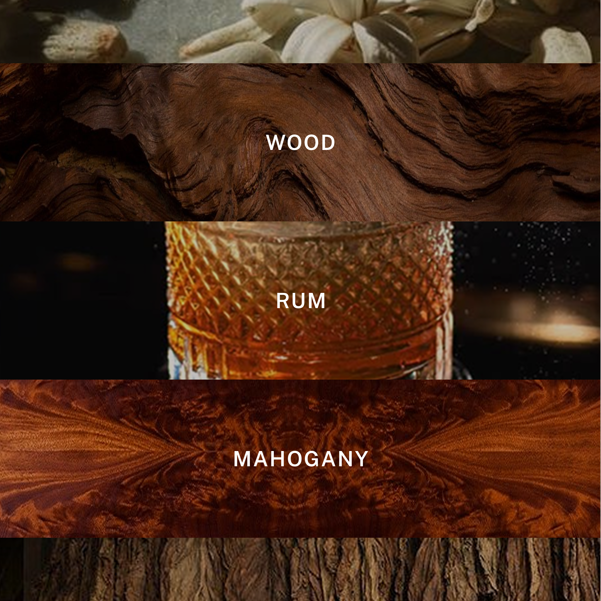 Paris Nuit - Luxury Fall Scented Candle - 9.75 oz