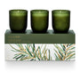 Illume Balsam & Cedar Votive Gift Set
