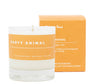 Party Animal: Sweet Orange + Lime Soy Wax Bland Candle