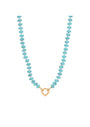 Turquoise Carabiner Necklace