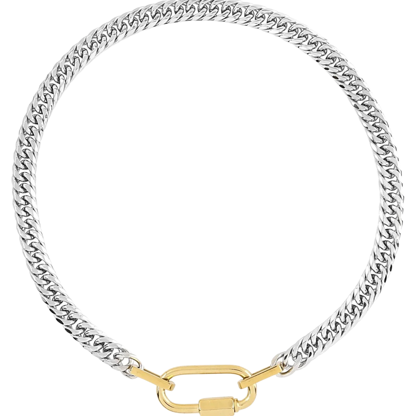 Two Toned Carabiner Necklace