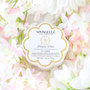Freesia Pear Daisy Spongette | Soap Sponge | Soap Buffer