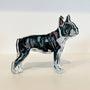 "Boston Terrier" Acrylic Block