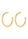 Cami Hoops