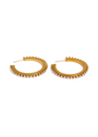 Audrey Hoops