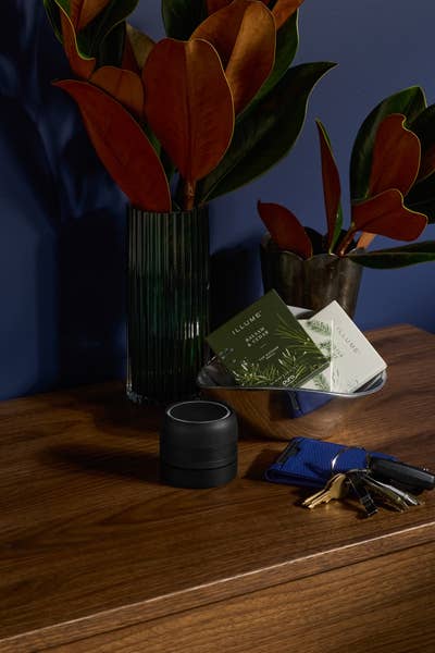 Balsam & Cedar by Illume - Pura Car Refill
