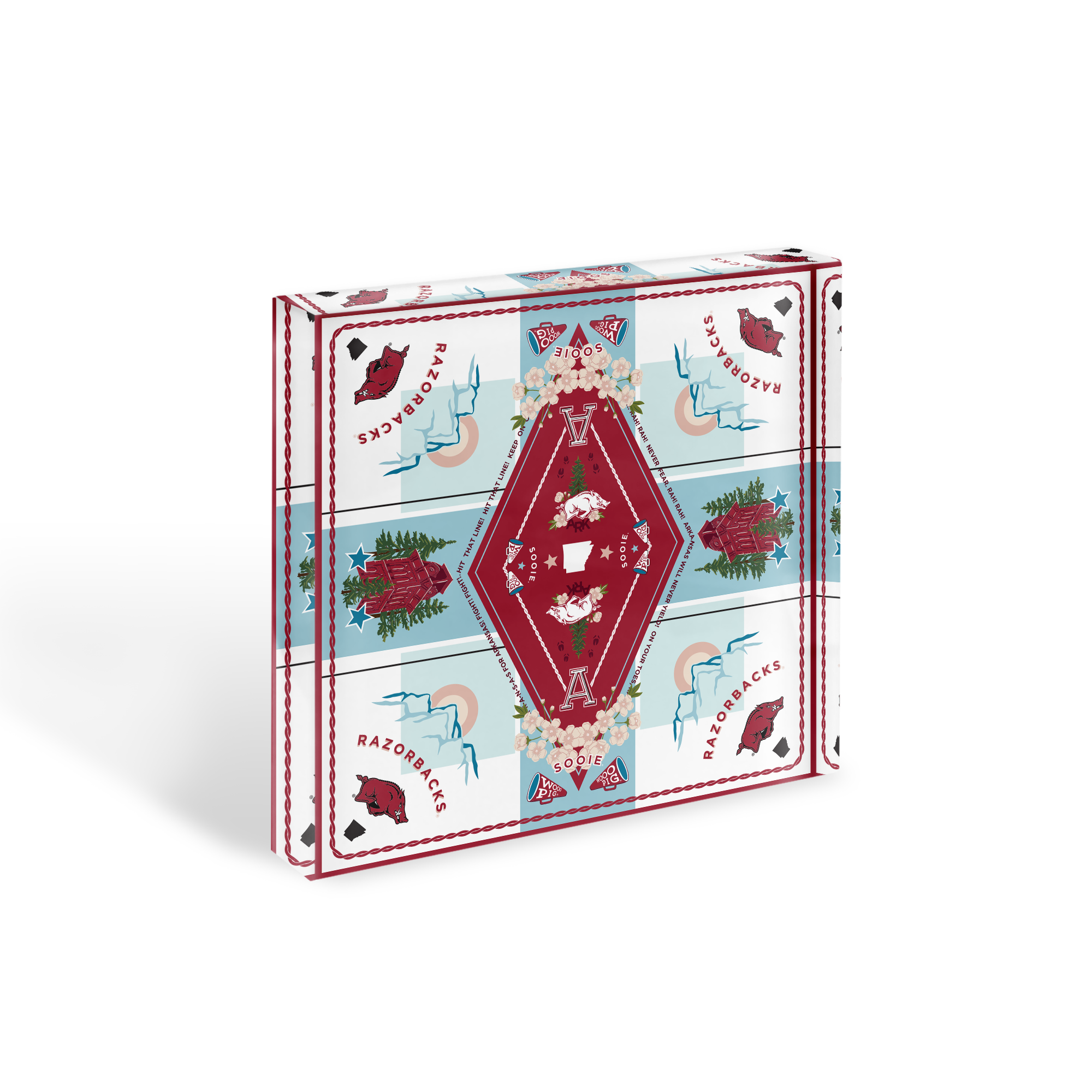Arkansas Razorbacks Acrylic Block Art