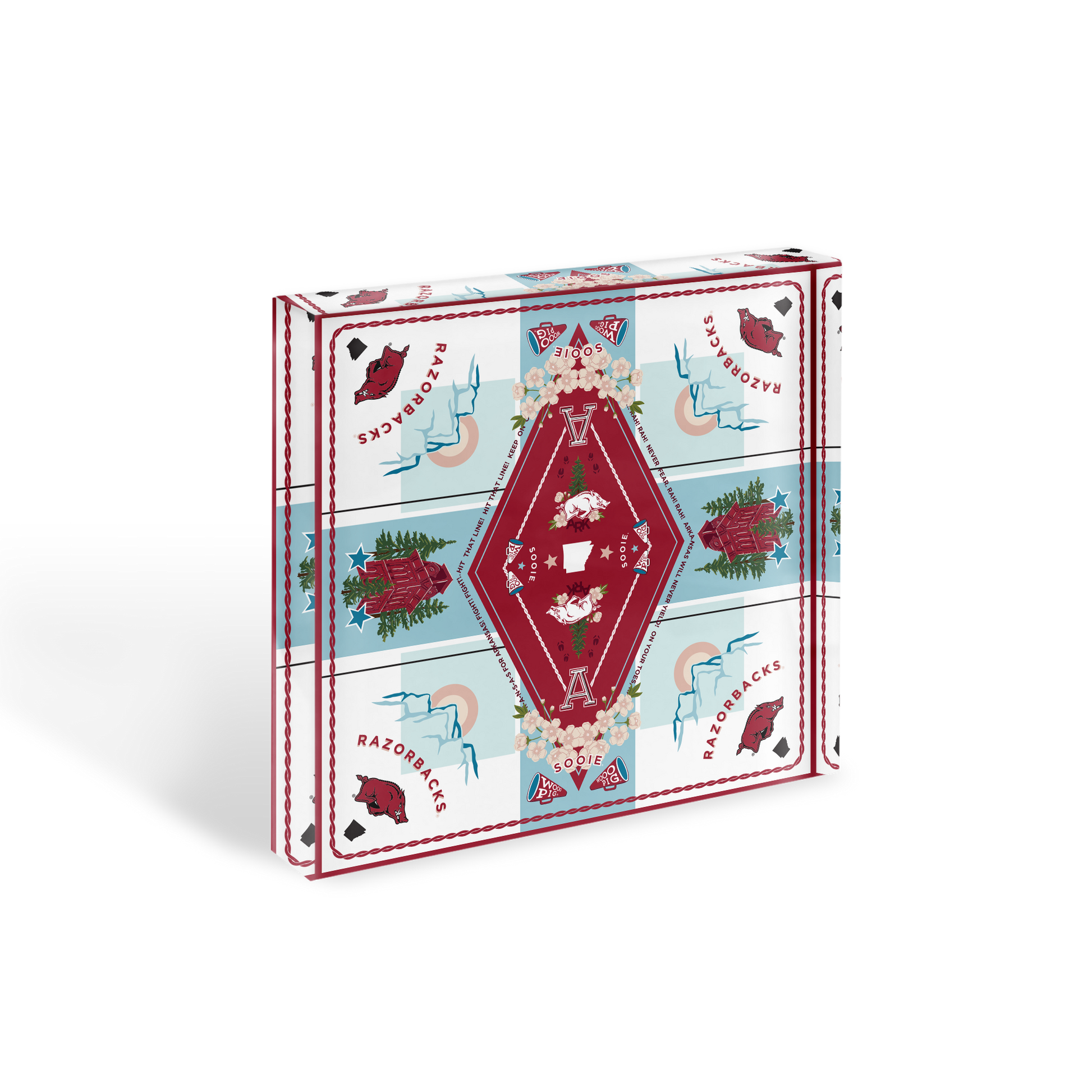 Arkansas Razorbacks Acrylic Block Art