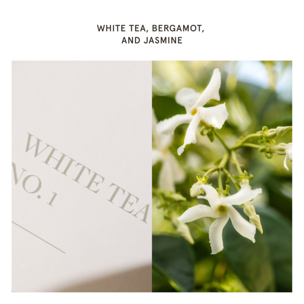 White Tea No. 1 - Pura Home Diffuser Scent Refill