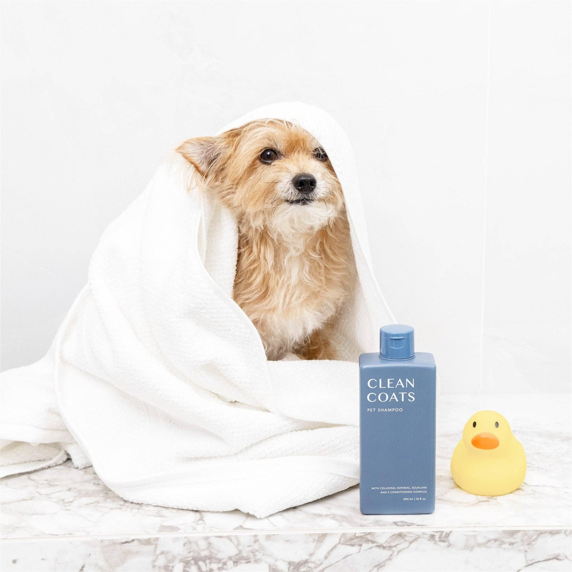 Dog Shampoo 2 in1 For Itching, Conditioning and Smelly Dogs