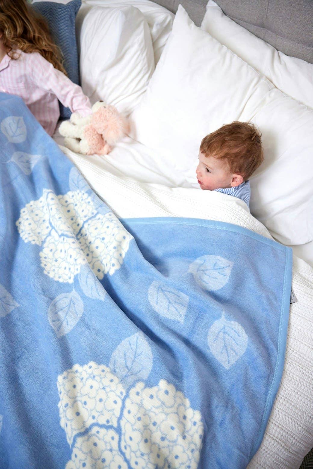 Hydrangeas Bluebell Blanket