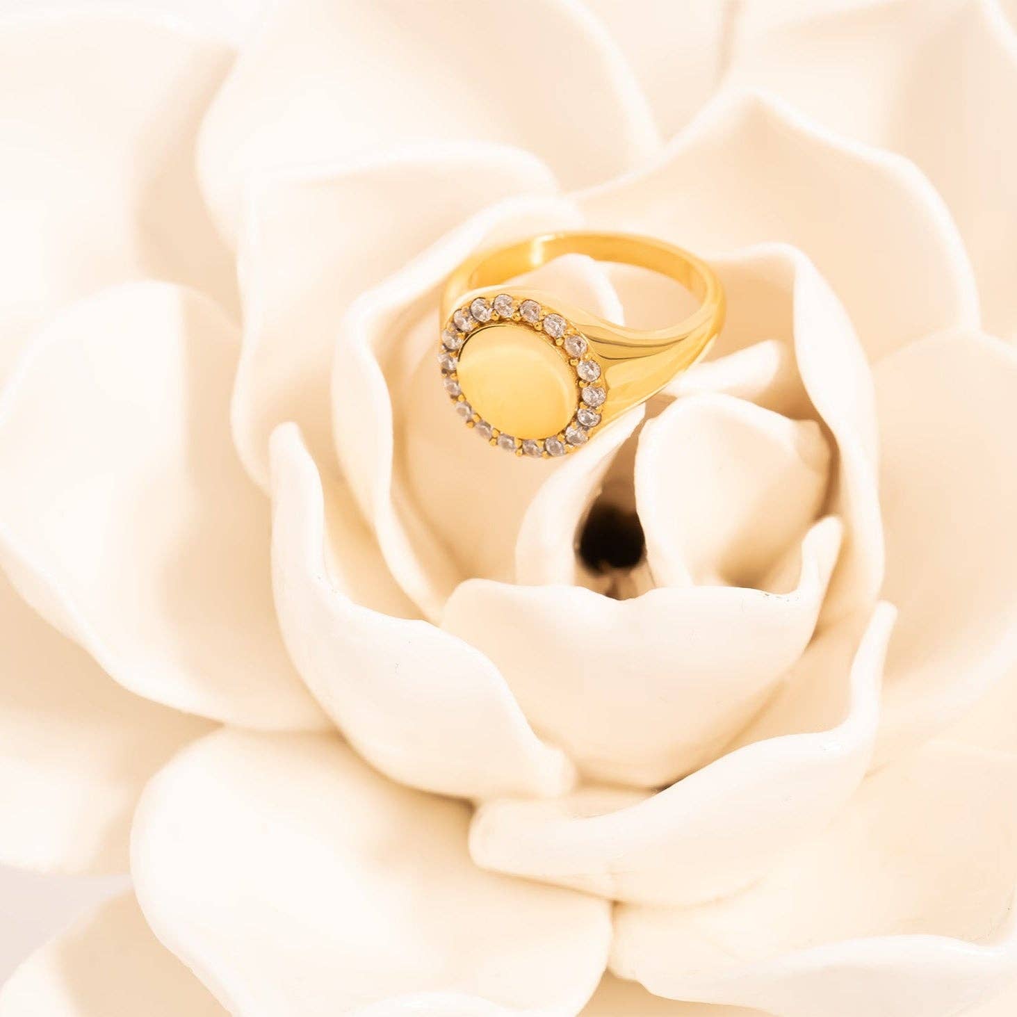 18K Gold PVD Stainless Steel Signet Ring With Stones