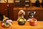 Soufflé Pet Bowl - Avocado Green