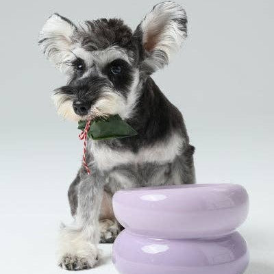 Soufflé Pet Bowl - Purple