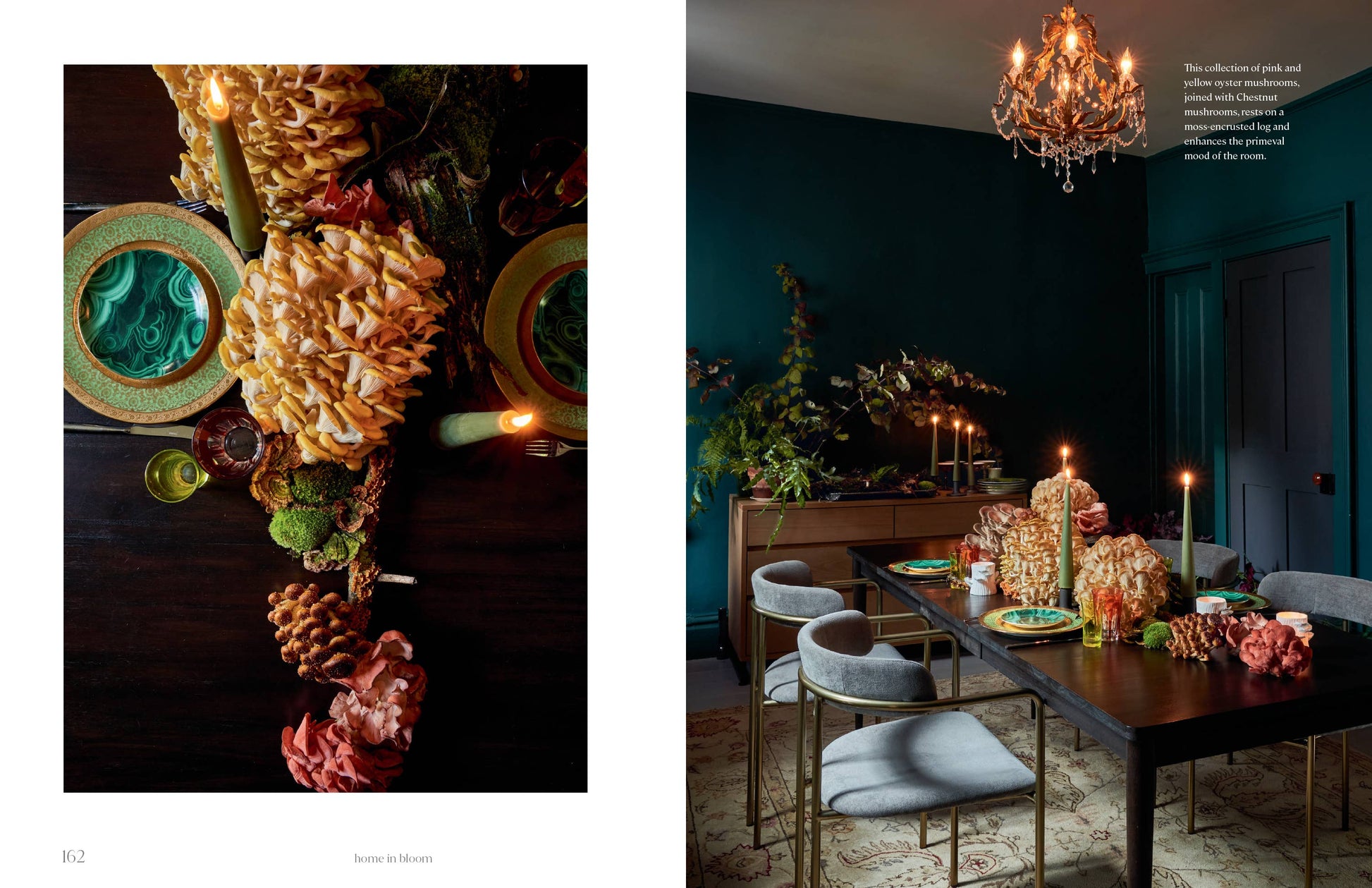 Home in Bloom