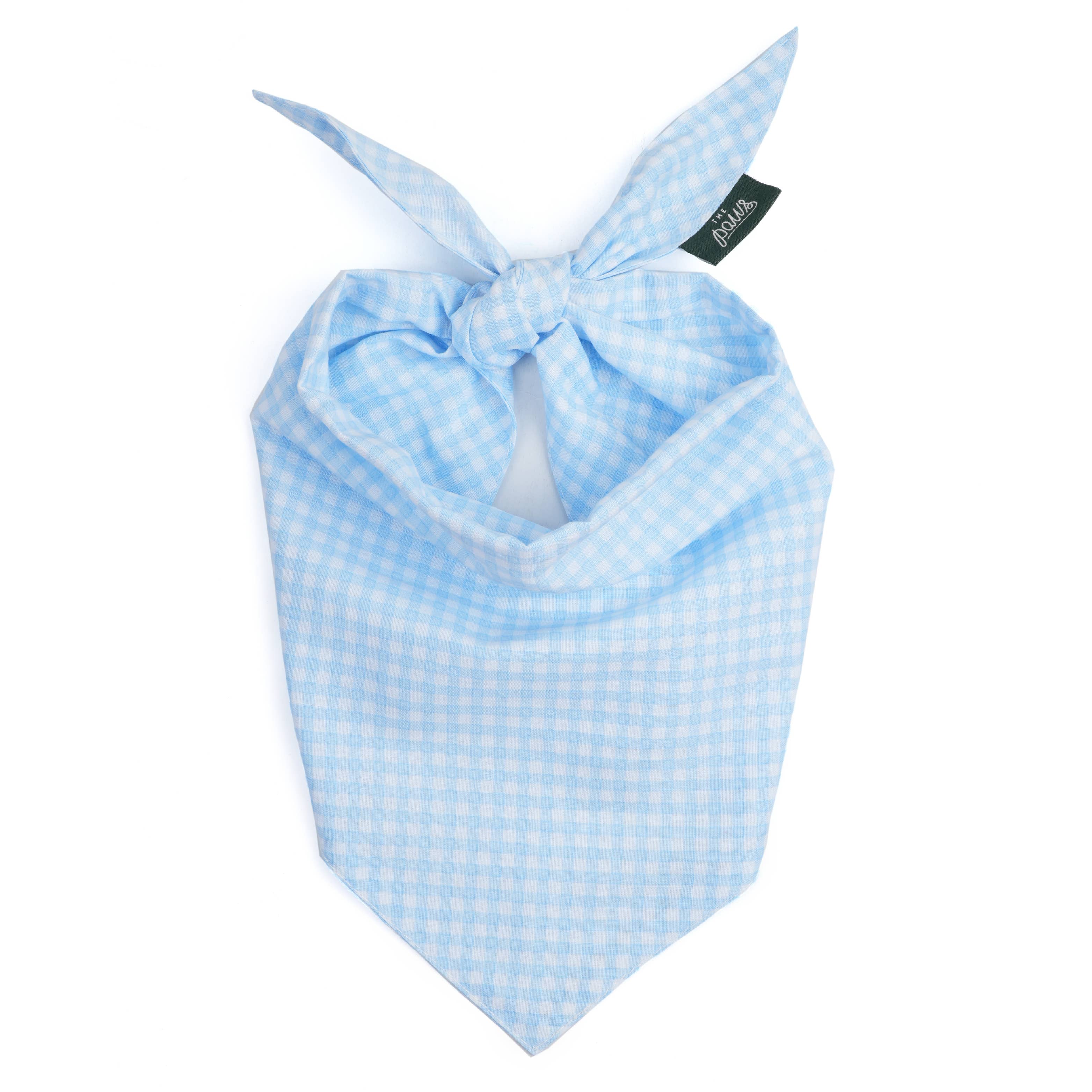Baby Blue Gingham Dog Bandana