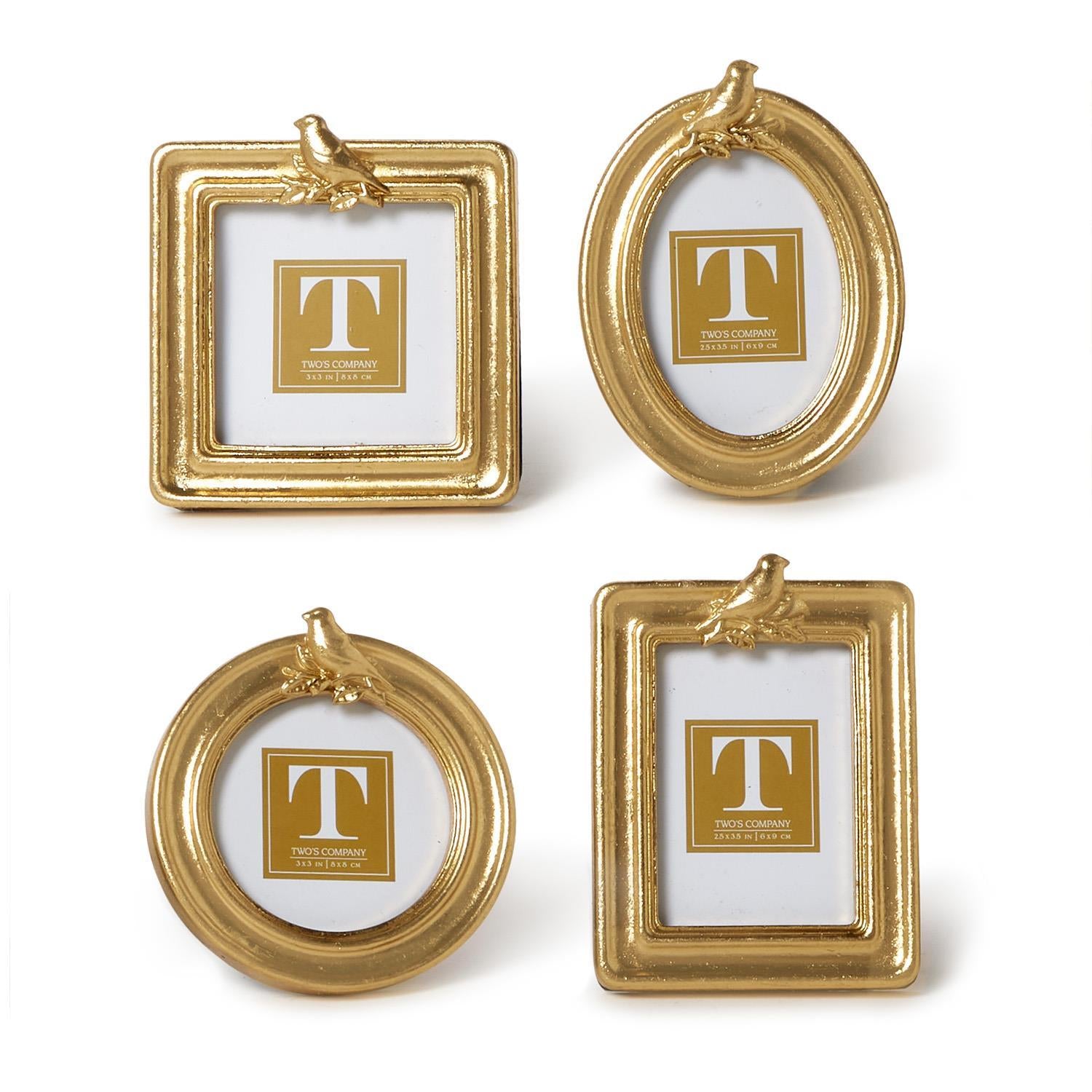 Small Gold Bird Frame