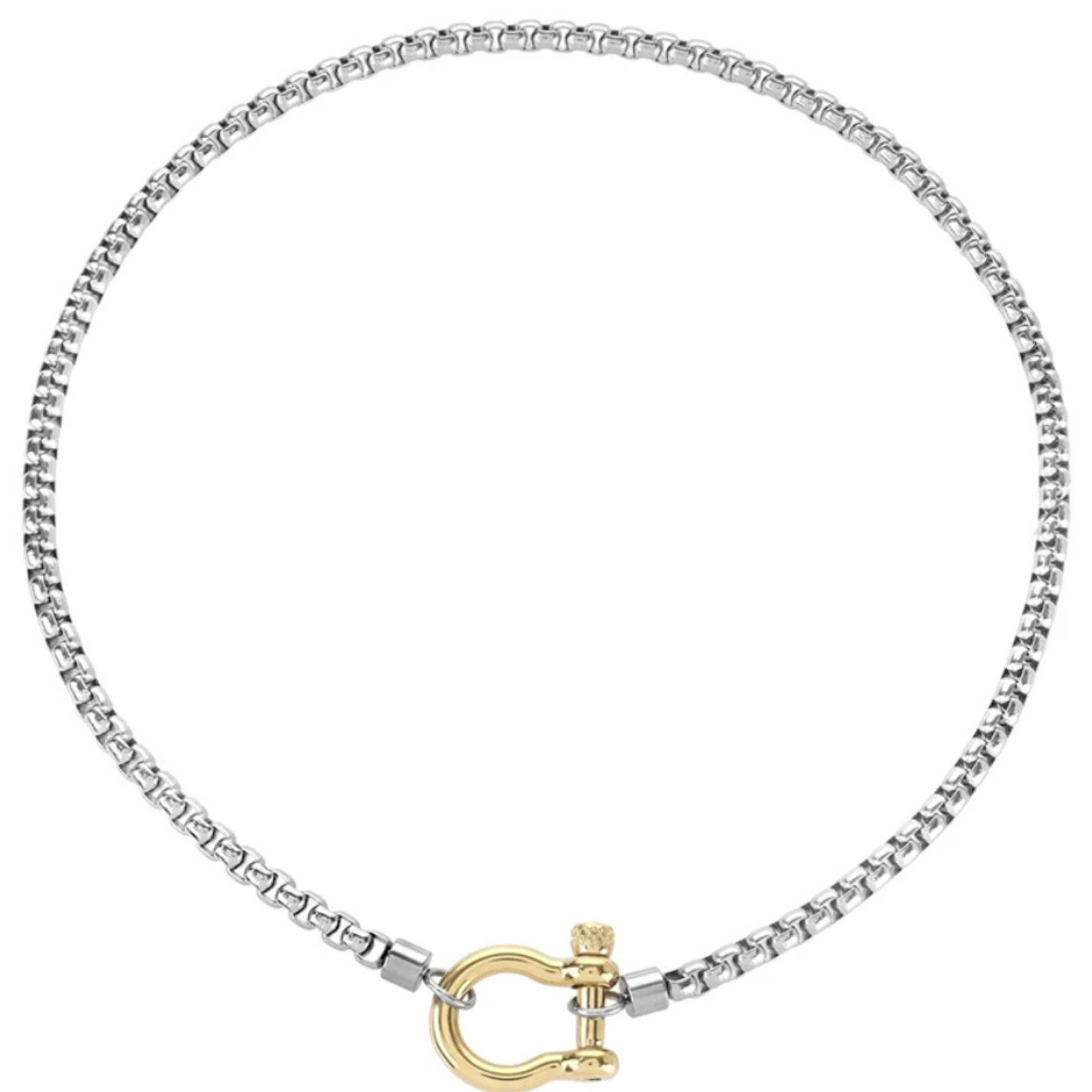 Lucky Silver Gold Necklace