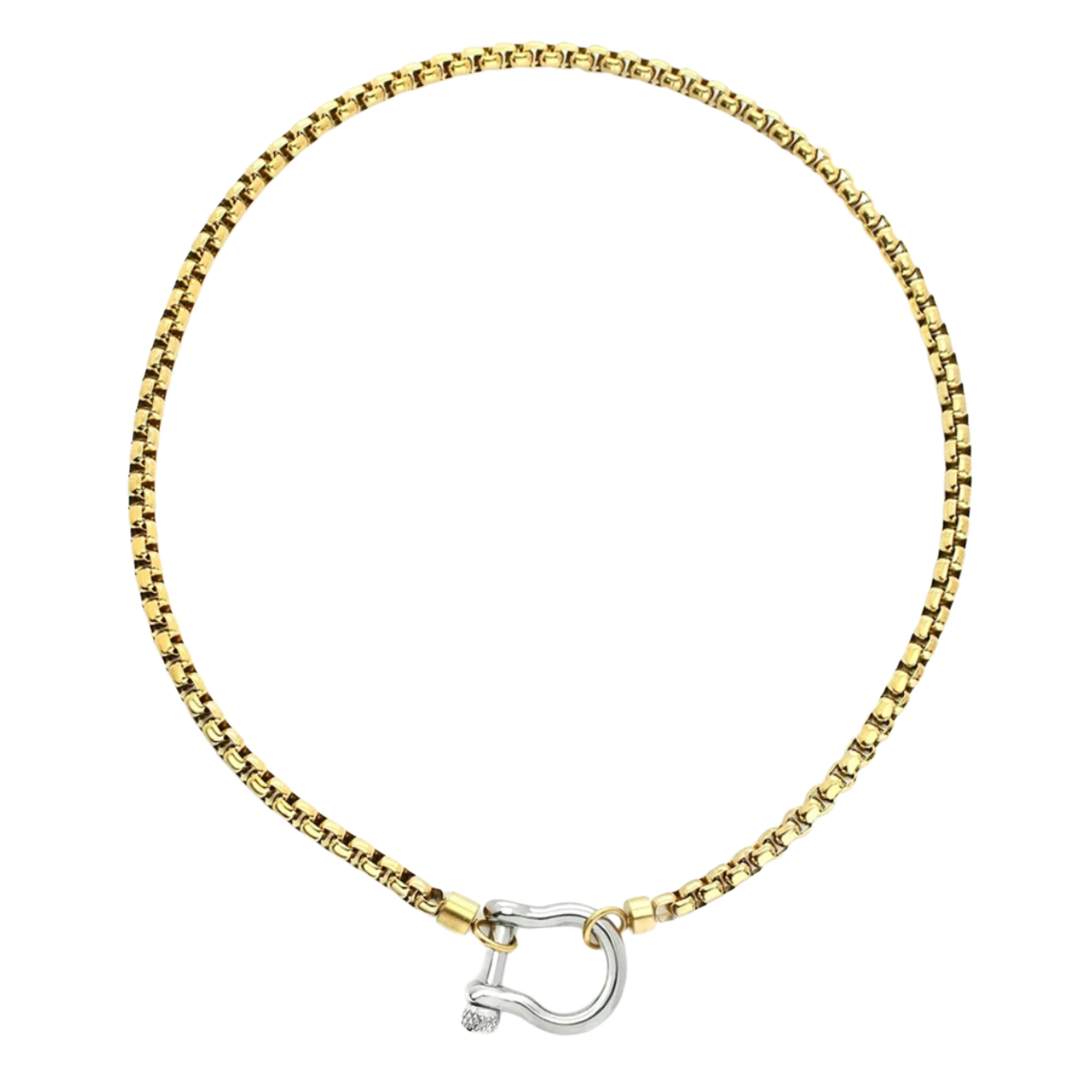 Lucky Gold Silver Necklace