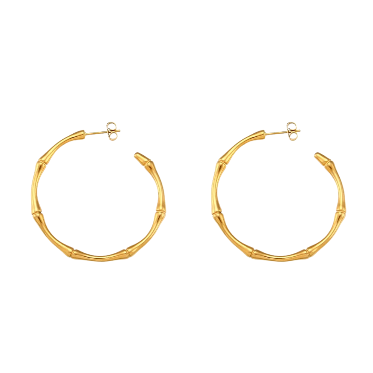 Bailey Hoops