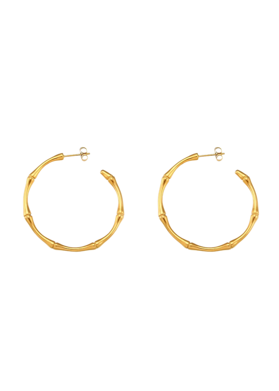 Bailey Hoops