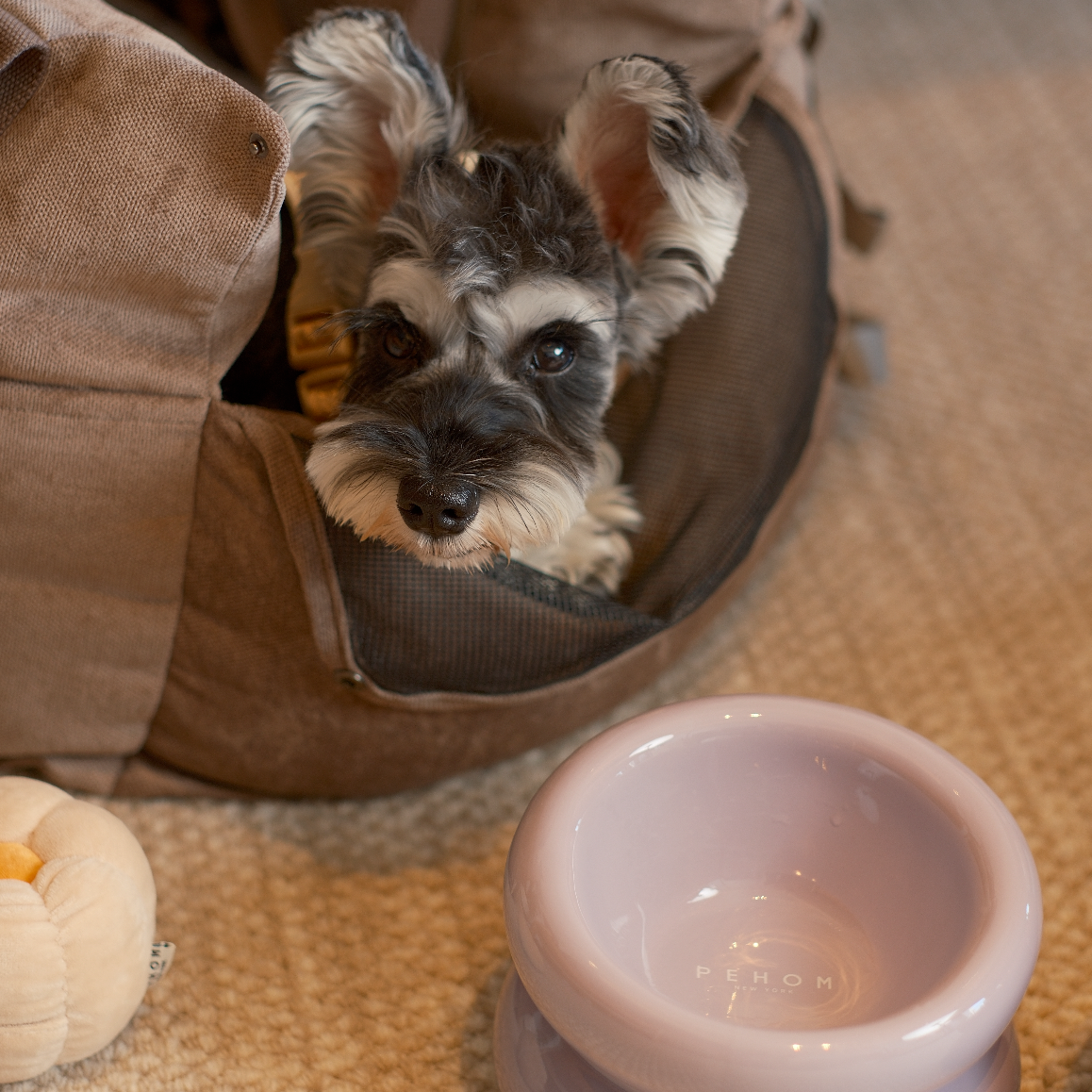 Soufflé Pet Bowl - Purple