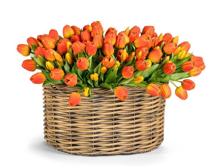Lifelike 5 Stem Tulip Bunch-12"H