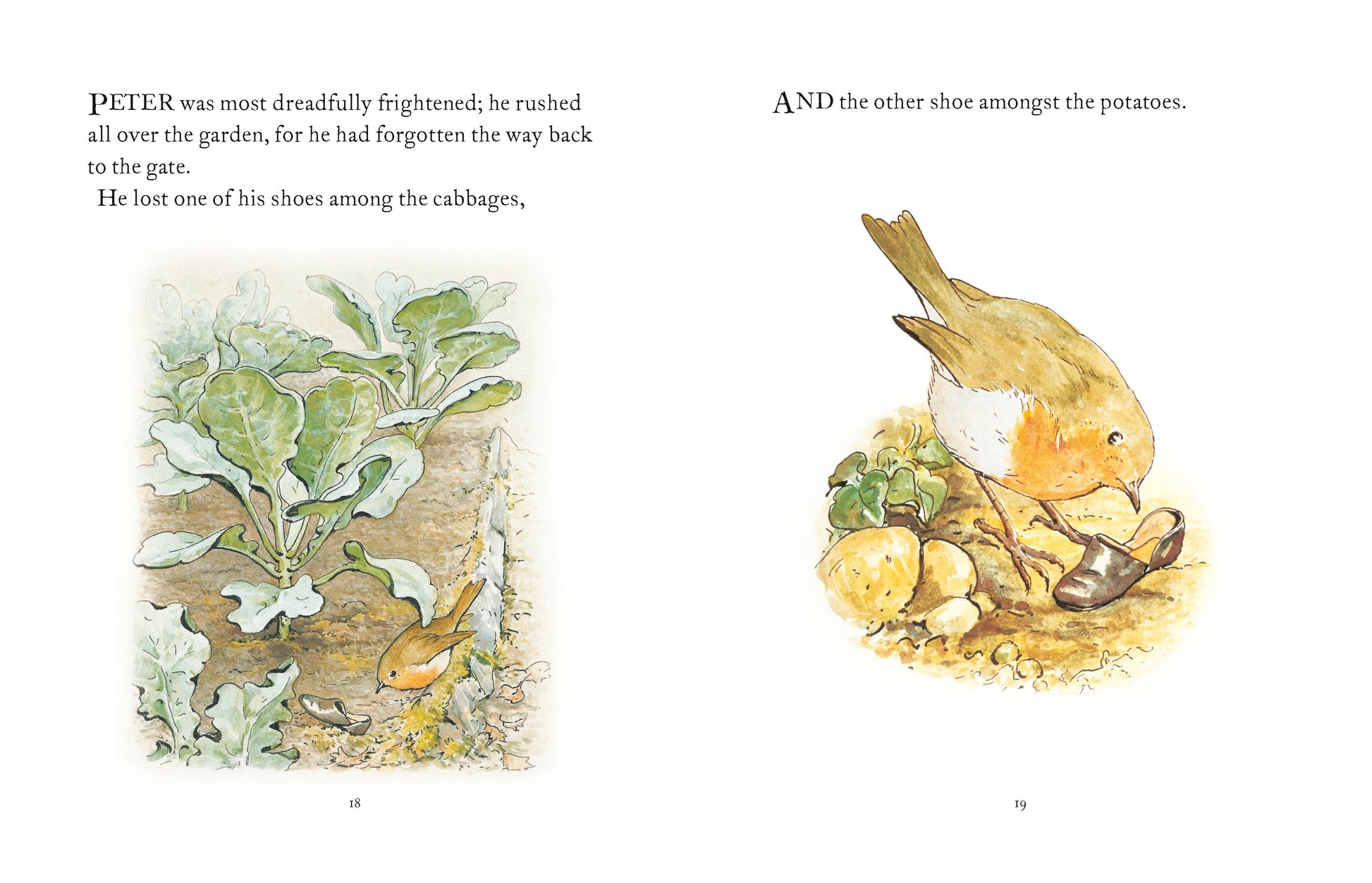 The Tale Of Peter Rabbit