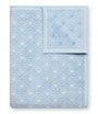 Seaside Scallops Fog Blanket