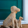 Potcake Rattan Dog - Large