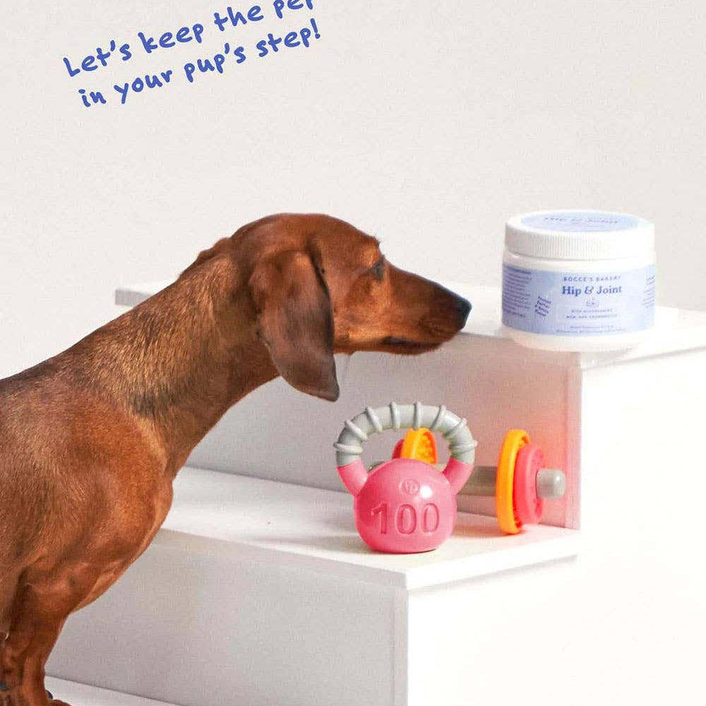 Bocce's Bakery Hip & Joint Soft Chew Dog Supplement 60 Count