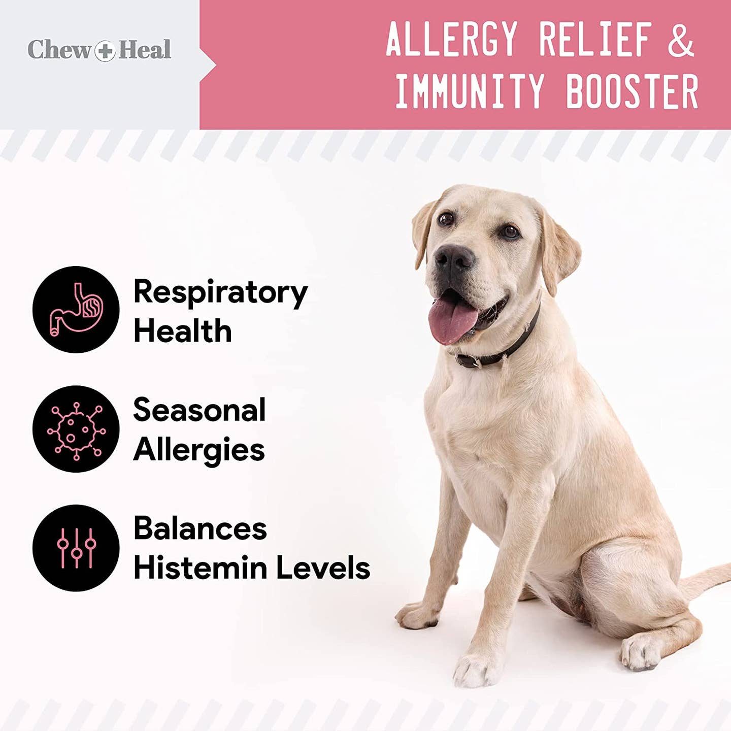 Allergy Chews with Antioxidants Dog Chew