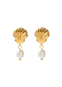 Seashell Studs