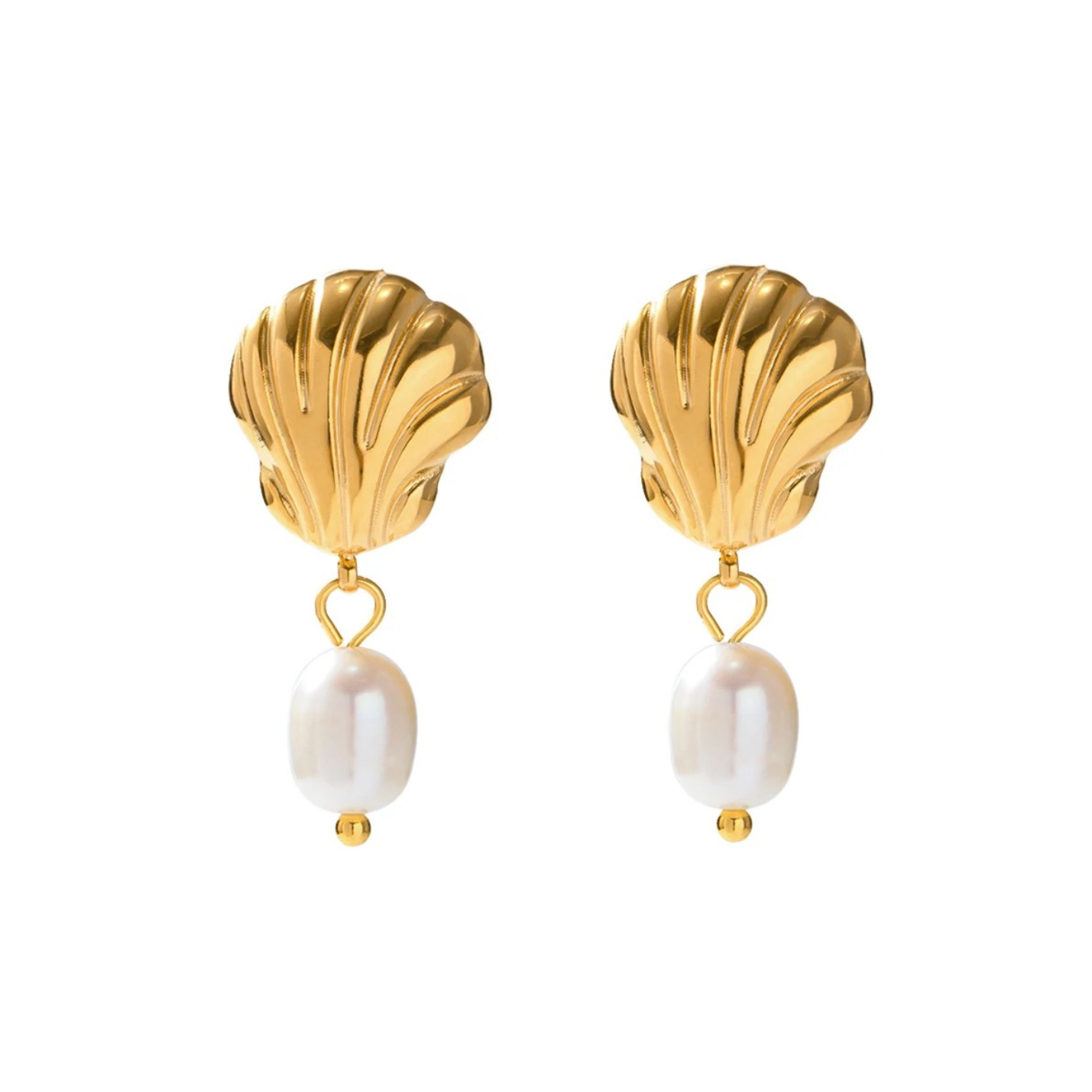 Seashell Studs