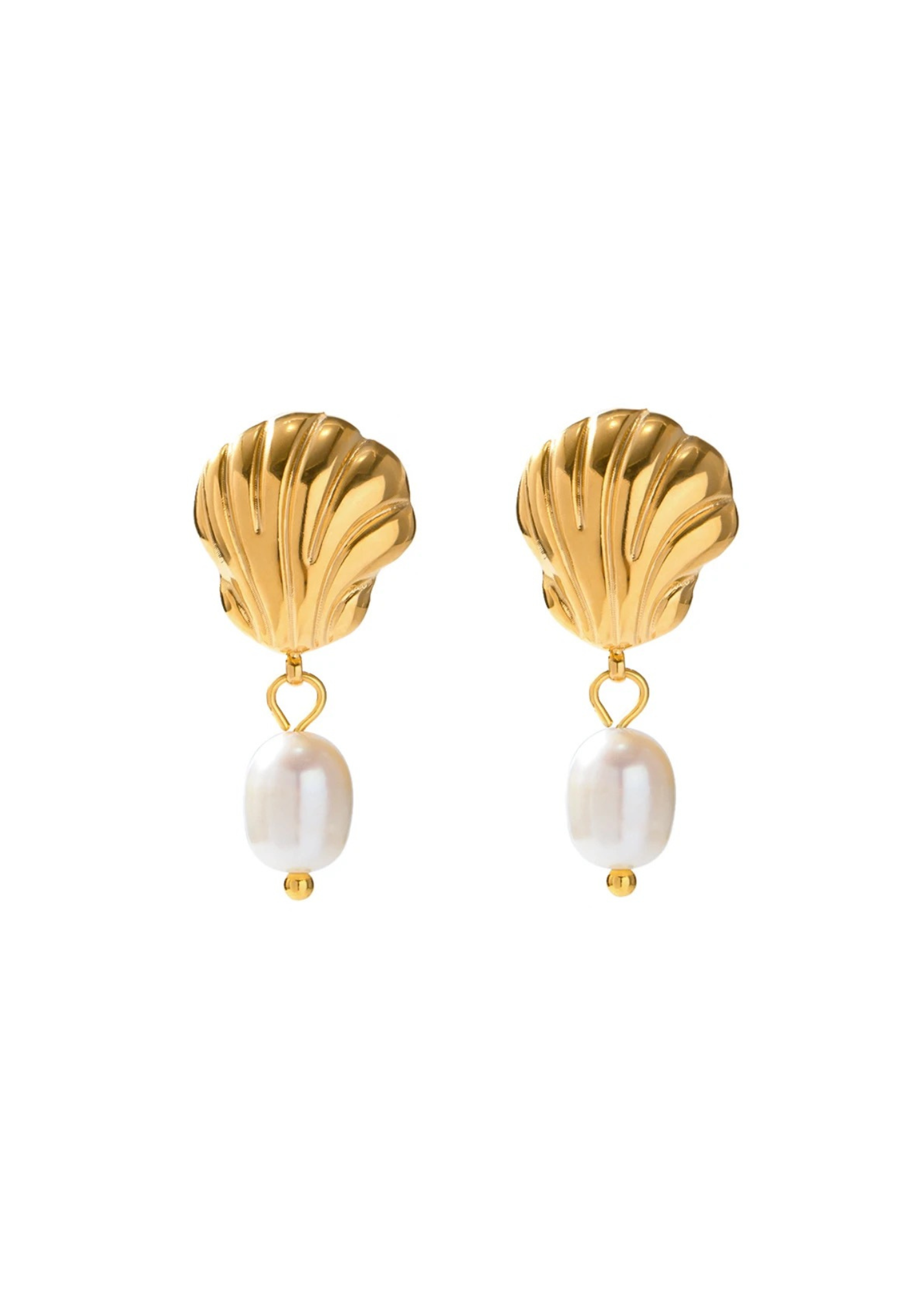Seashell Studs