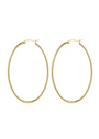 Oval Hoops